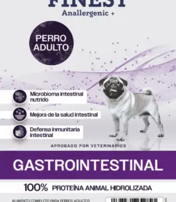 Gastrointestinal 10 kg