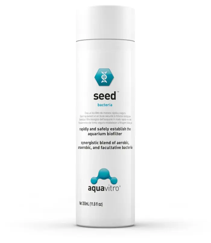seed